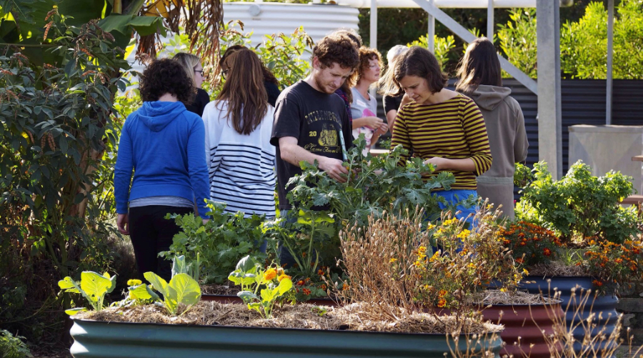 garden bed image