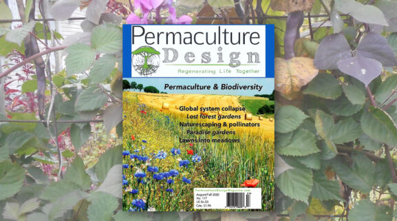 Permaculture Design Magazine cover