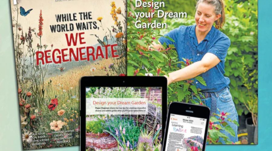 Permaculture: Earth care, People care, future care