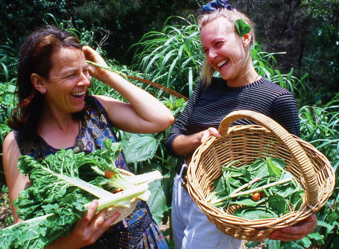 basket of vegies
