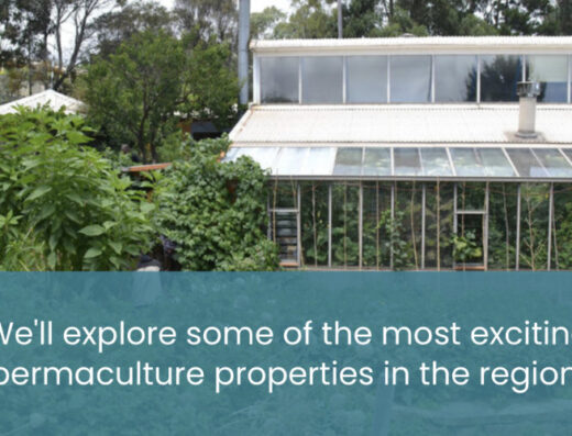 PDC at Rocklyn Ashram — VIC Australia