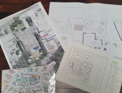 PDC with Permaculture Educators Alliance — Beaconsfield WA Australia