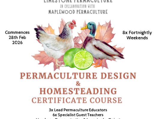 PDC + Homesteading Course — NSW