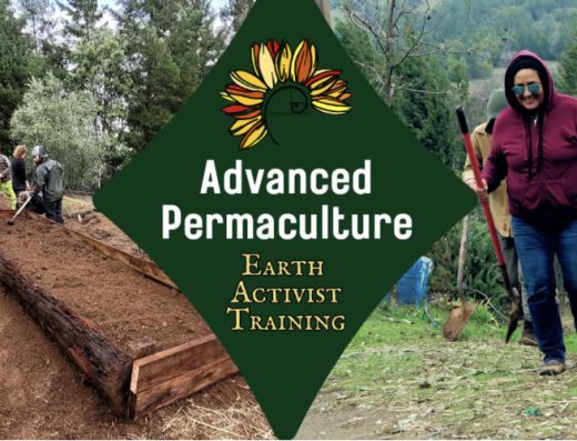 Advanced PDC with Starhawk & Charles Williams — Online