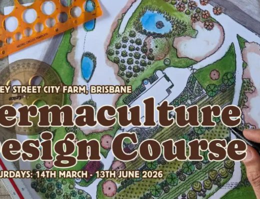 PDC at Northey Street City Farm — Brisbane, Australia