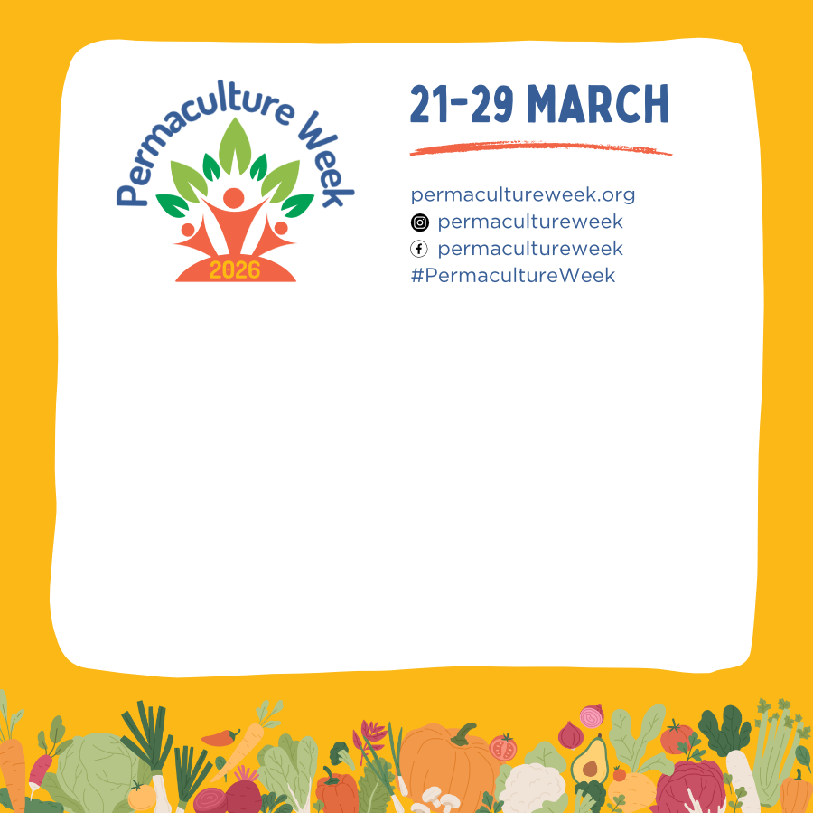 2026 PW Sq blank template