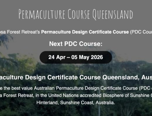 PDC with Noosa Forest Retreat — QLD Australia