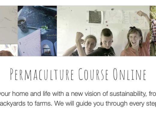 PDC with Noosa Forest Retreat — Online