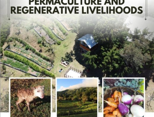A Complete Introduction to Permaculture and Regenerative Livelihoods