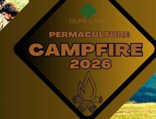 Transylvania Permaculture Campfire