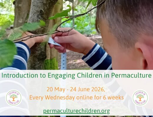 Children in Permaculture Introduction Course
