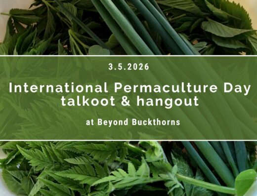 IPD talkoot & hangout at Beyond Buckhorns