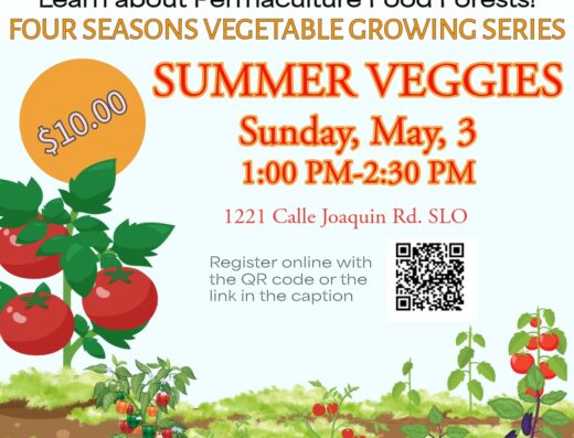 Summer Veggies Workshop