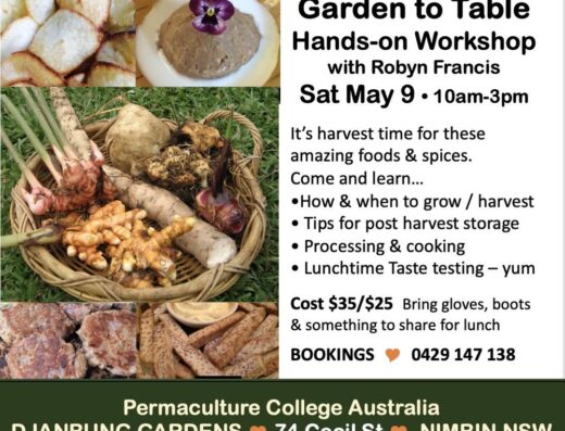 Incredible Edible Tropical Tubers