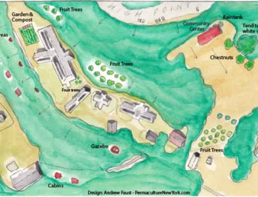 Whole Site Permaculture Design