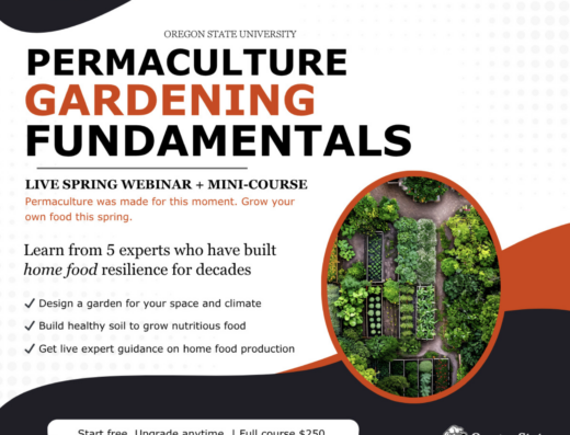 Permaculture Gardening Fundamentals: A Live Webinar Series