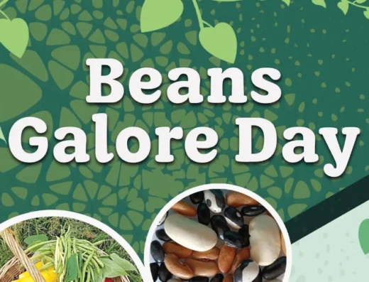 Beans Galore Day