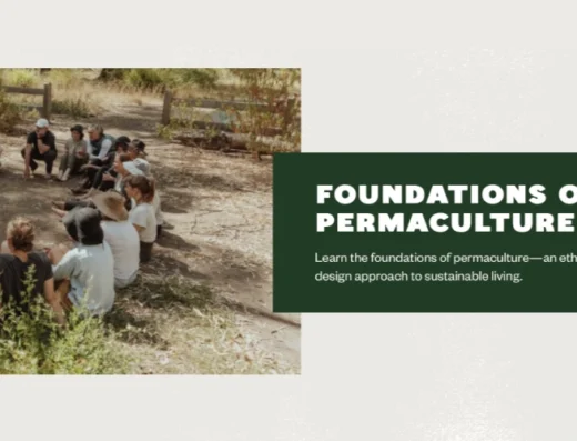 Foundations of Permaculture