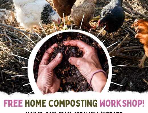 SOLD OUT: Free Home Composting Workshop