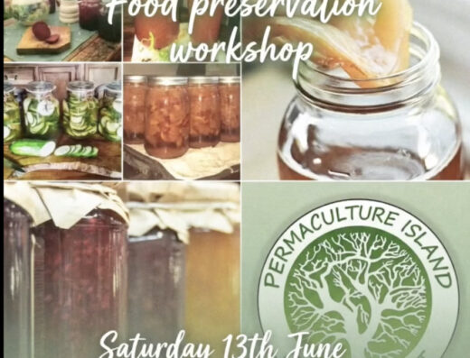 Food Preservation Workshop
