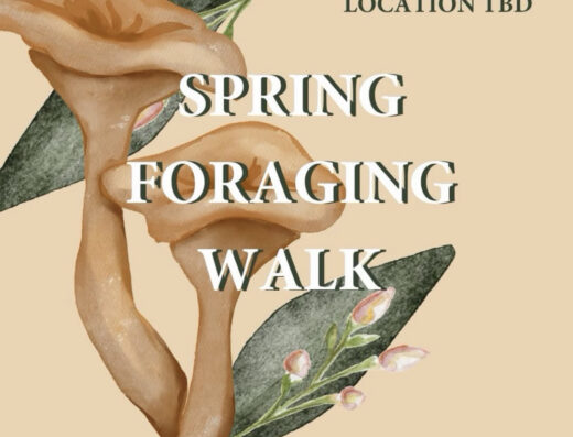 Spring Foraging Walk