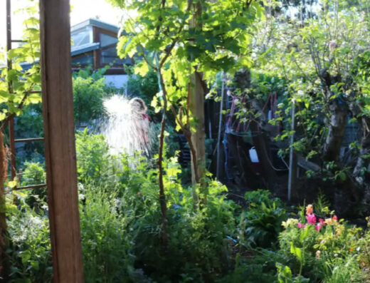 Introduction to Permaculture