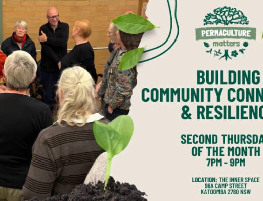 Building Community Connection and Resilience