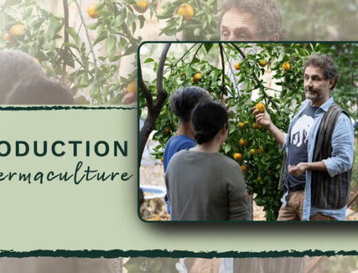Introduction to Permaculture