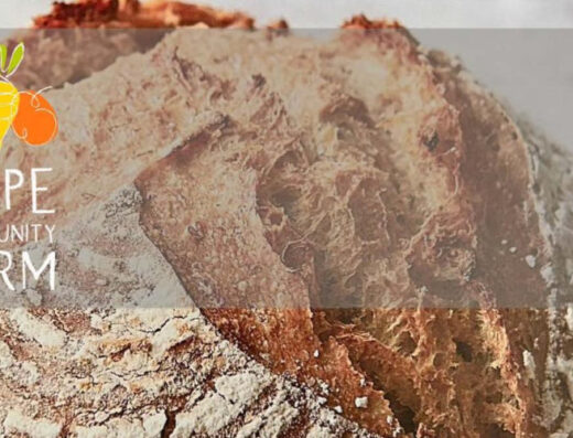 Sourdough — your journey starts here