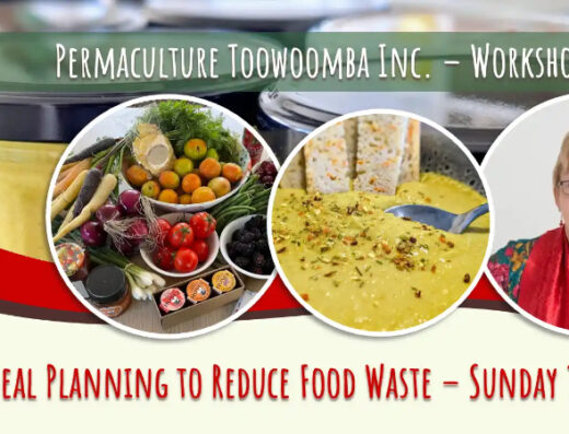 Mindful Meal Planning to Reduce Food Waste