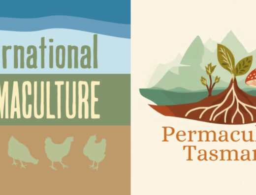International Permaculture Day @ Harvest