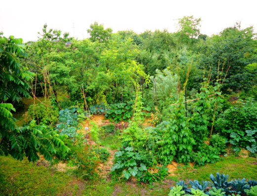 Waldgarten