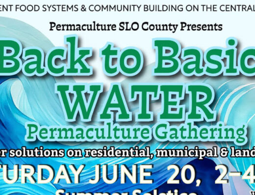 Back to Basics Water