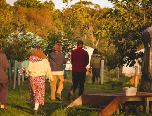 PDC with Kents Permaculture — Nth Cornwall