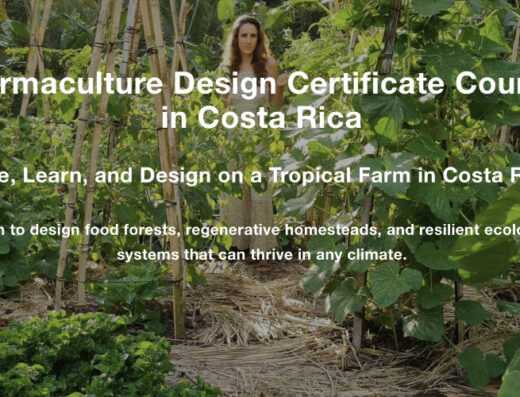 PDC with Finca Tierra — Costa Rica