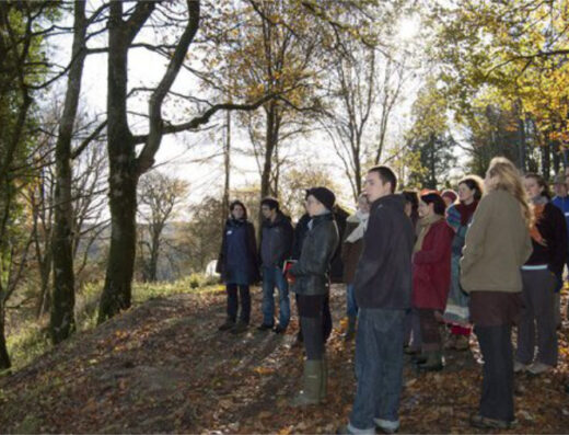 PDC with Learn Permaculture — UK